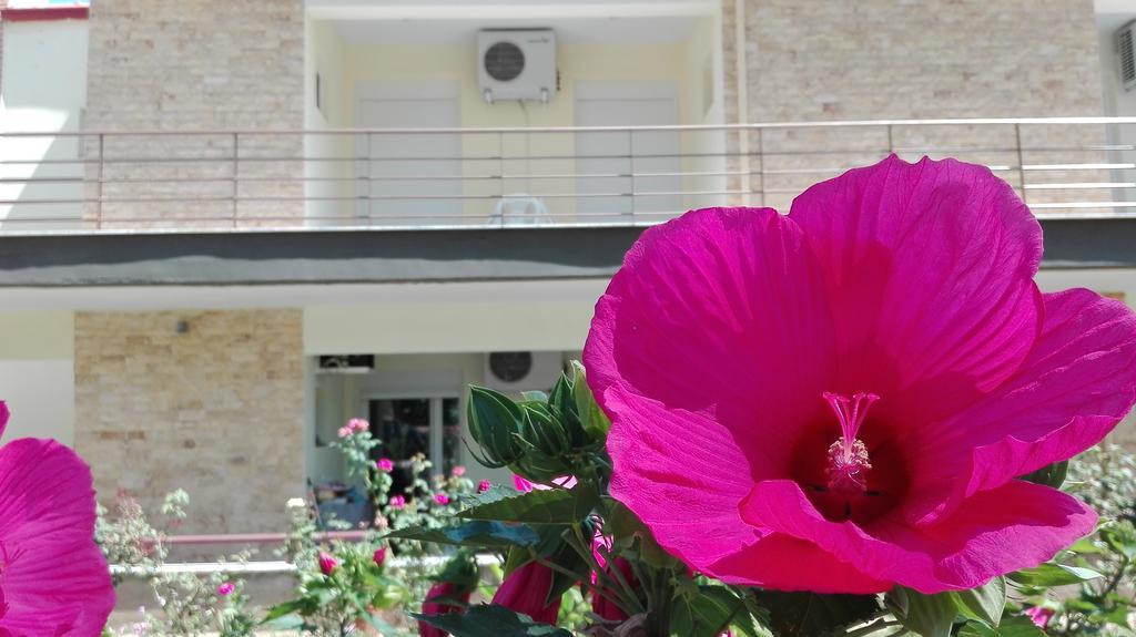 Familia Hotel Loutra Volvis المظهر الخارجي الصورة